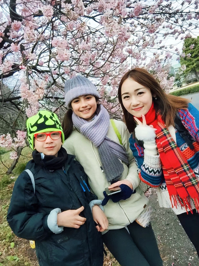 日本賞櫻🌸多條路線攻略請收好
