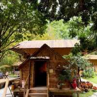 🌳深圳新開！藏在山裡的田園鄉村小院🍃