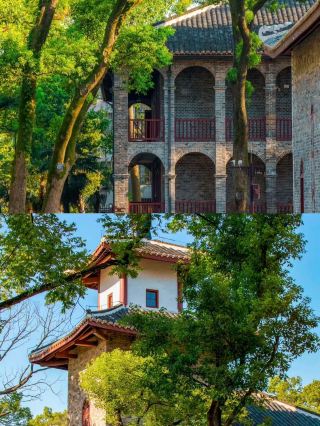 Back from Yueyang, my suggestion is… follow the breeze and travel
