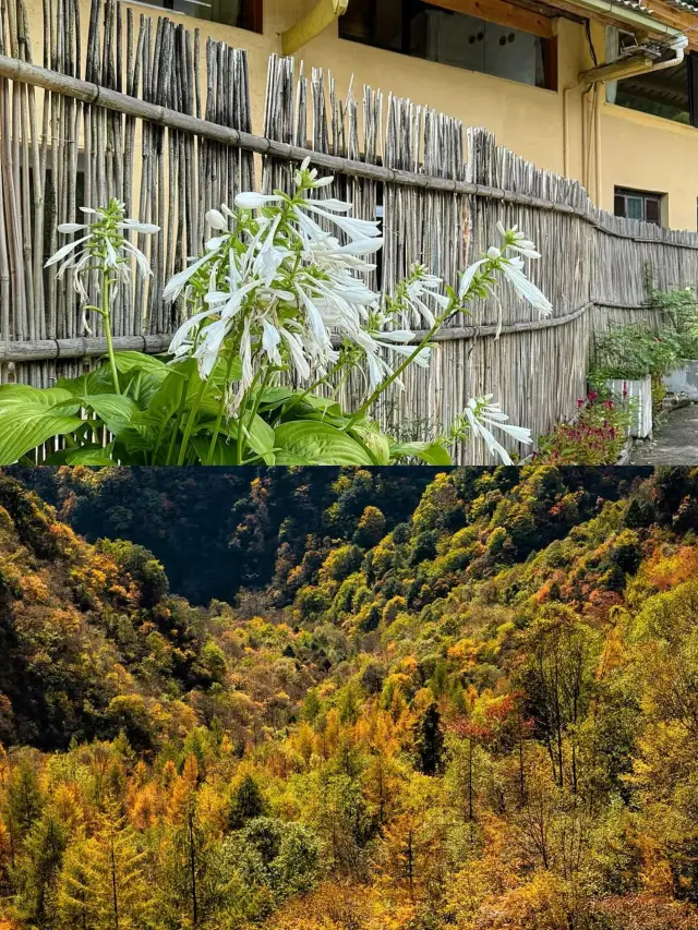 Shaanxi: A Feast for the Senses and a Journey Through Time