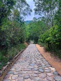 🌿探秘珠海長南逕古道遺址