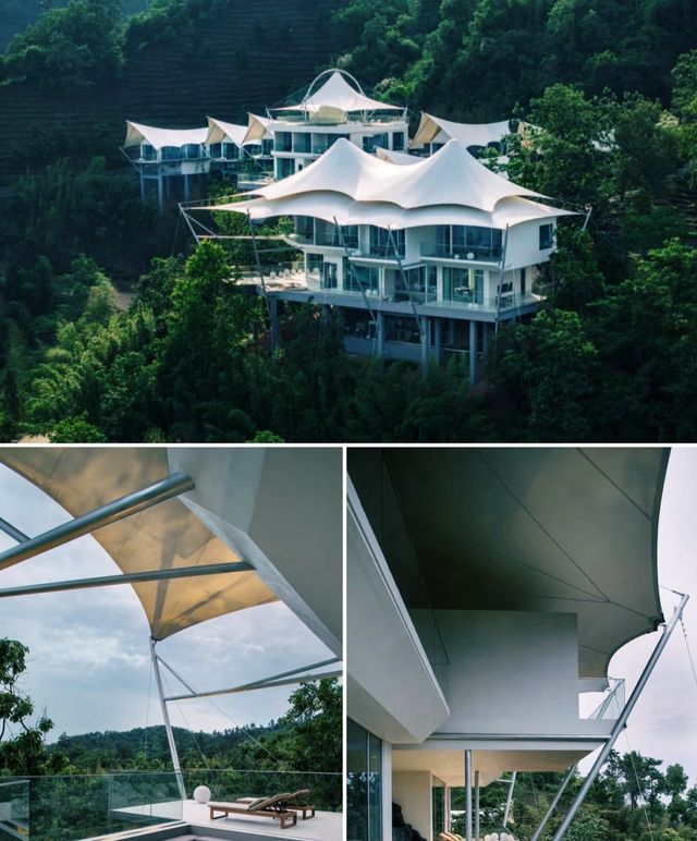 270°全景落地玻璃窗！安吉茶山上嘅野奢帳篷酒店