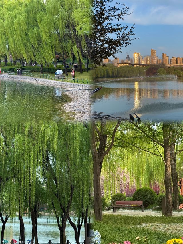 衡陽南湖公園：免費花海中的春日漫遊