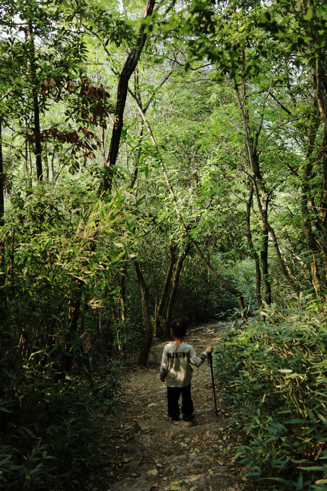 湖州甘舍|山水間的團建絕佳之地