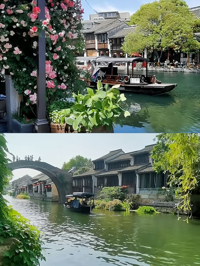 剛從湖州回來，說點大實話
