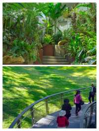 廣州新晉頂流！被問爆嘅「雲蘿植物園」保姆級攻略