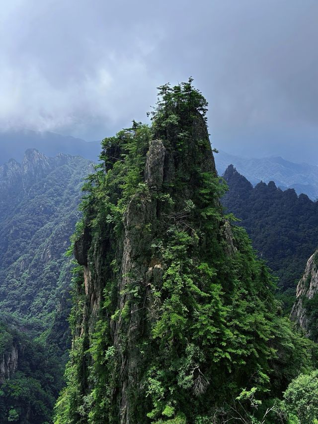 洛陽旅遊必備攻略（超全）