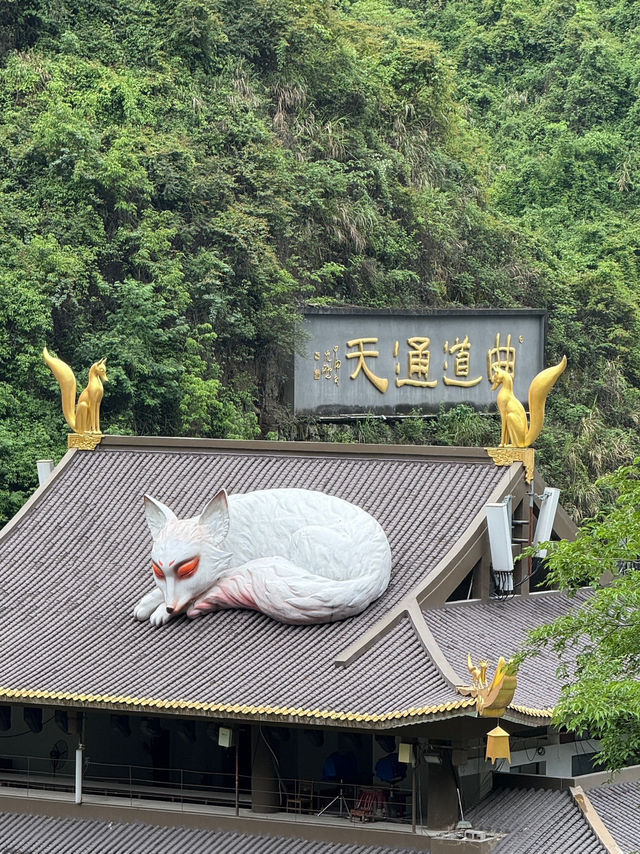 Zhangjiajie - A Dreamlike Mountain Escape 