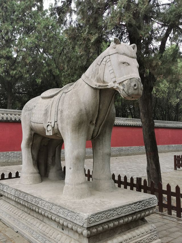 【河南安陽市】袁林自駕遊。