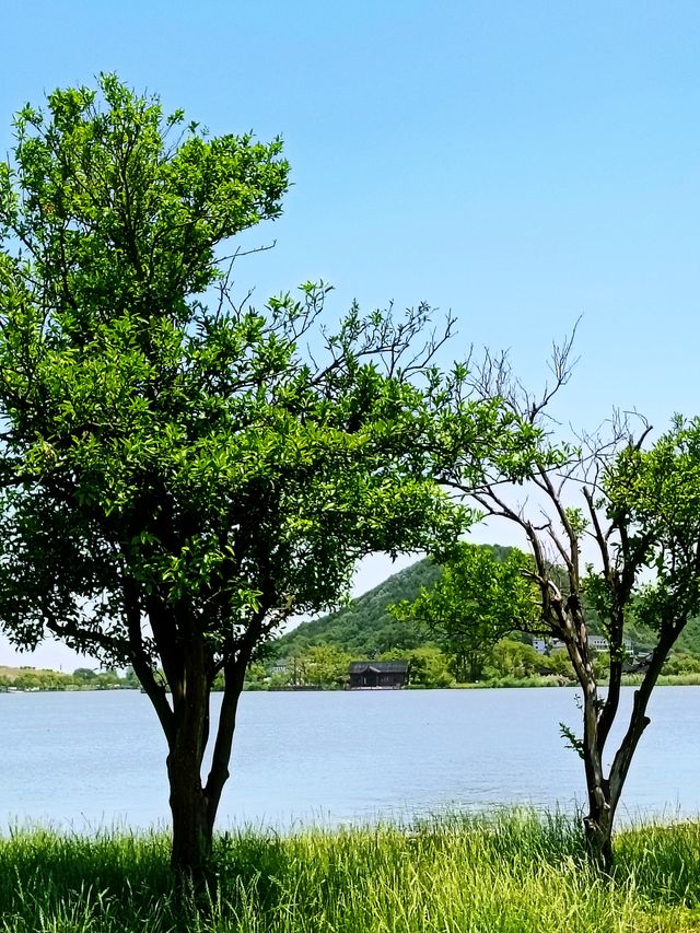 仲喺西湖逼？不如嚟南北湖感受下山水嘅寧靜啦！