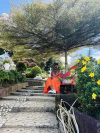 The beautiful  Sirao Gardens 