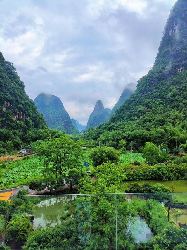 走近遇龍河畔，走進遇山鄉舍愛麗絲花園