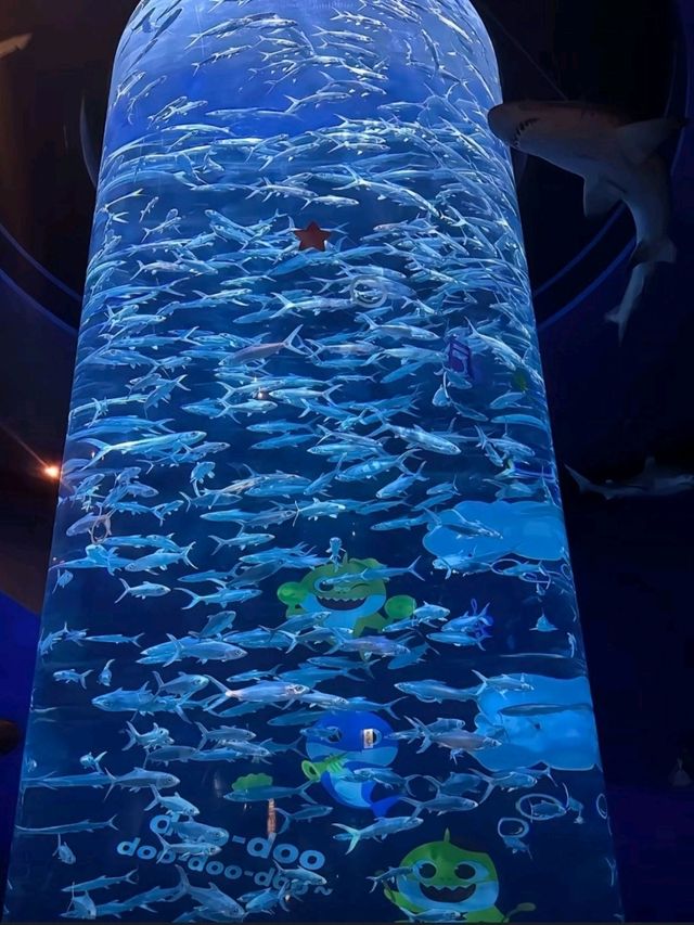 🌊【香港海洋公園｜海陸奇遇全體驗】🌴