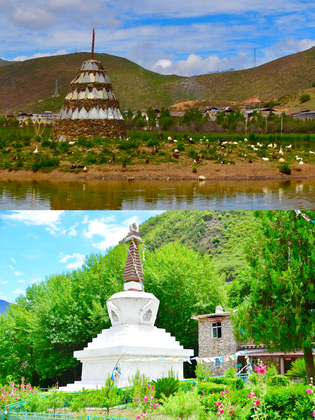 六月趣旅行  香格里拉正當時（避坑指南）