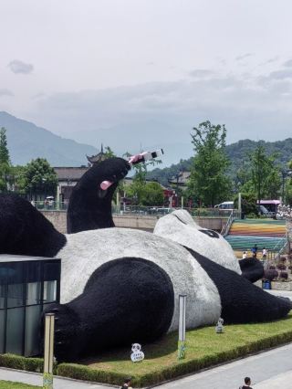 Dujiangyan Panda Valley: Not Recommended for Direct Visits