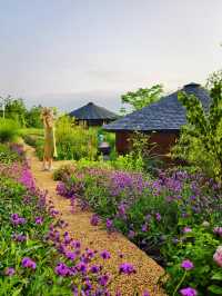 喺神農架住進童話森林木屋，靚到喊咗出嚟