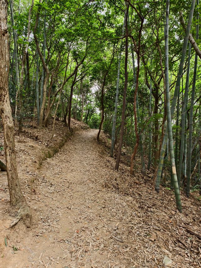 九龍源風景區徒步