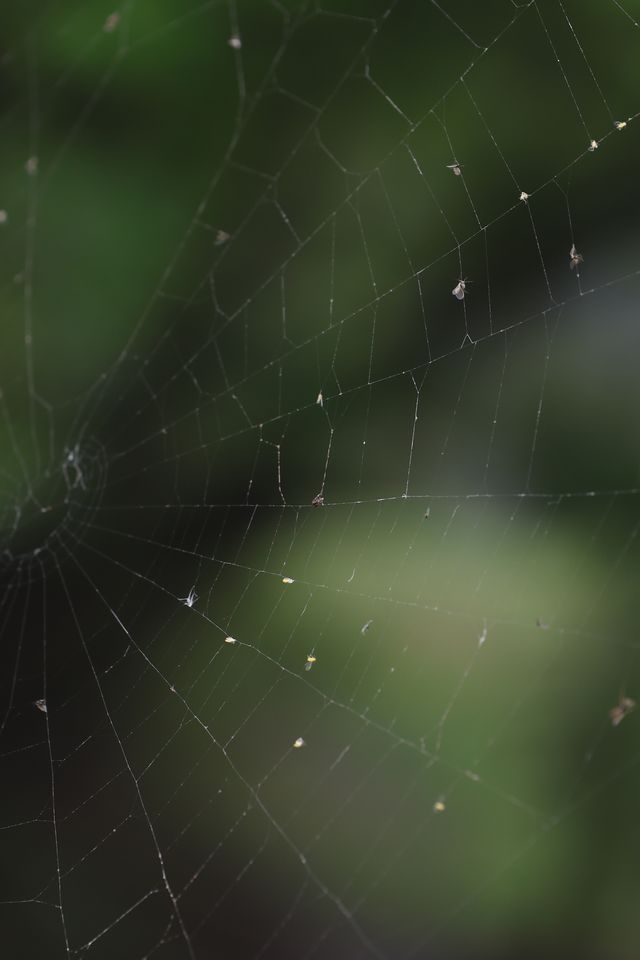 南京竟然有咁樣嘅地方