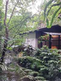 台北週邊🌿大板根森林溫泉渡假村探秘