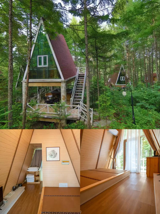 瀋陽周邊小眾森林木屋！住進綠野仙蹤3小時直達