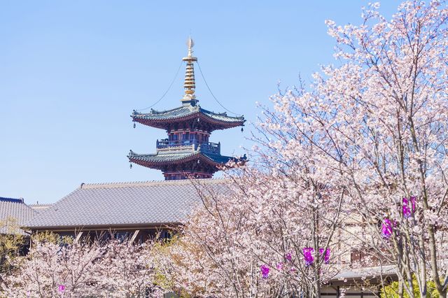 6天暢遊南京等地 超實用攻略來襲