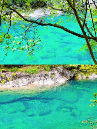 Guniujiang Fairyland Adventure Guide: Step into Southern Anhui's Green Wonderland 