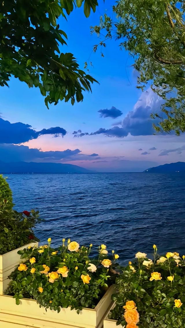 𝗗𝗮 𝗟𝗶大理·洱海「背靠蒼山，面向洱海」