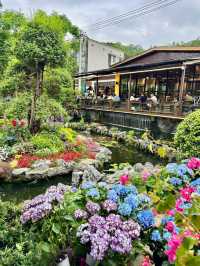 原本以為岳麓山已經夠靚。。。直到去咗呢度