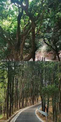 廣州玉巖書院後山輕徒步全攻略