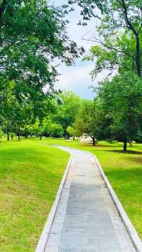 夏日暢遊煙台牟平沁水河口國家濕地公園