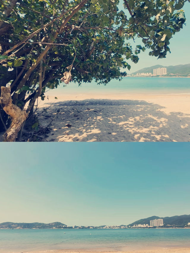 山海之約】港島徑行山全記錄：城市邊緣的絕美秘境