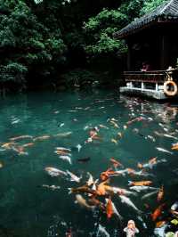 Jinhua Summer Resort