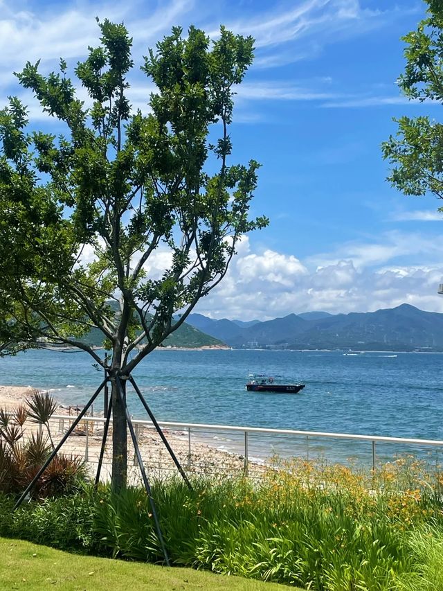 深圳週末一日遊全攻略：山海之間嘅自在時光