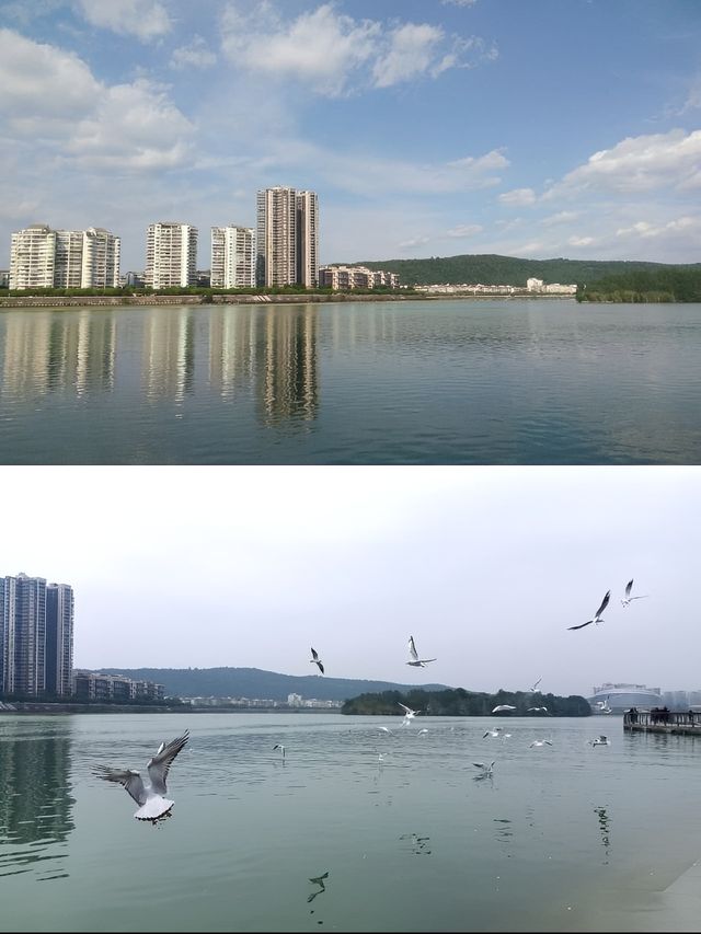 綿陽鐵牛酒店，你嘅心靈歸宿！