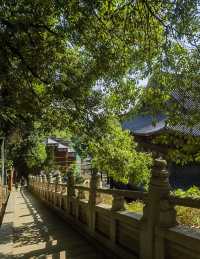 交換夏日計劃：從長沙自駕湘潭，3日1夜嘅紅色與煙火之旅