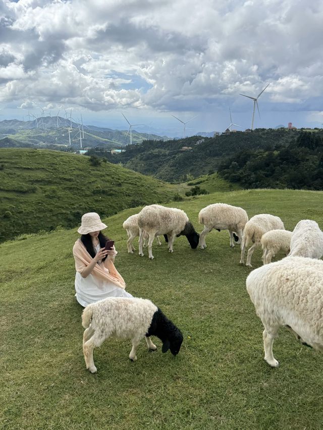 初夏的呼倫貝爾才是人間理想