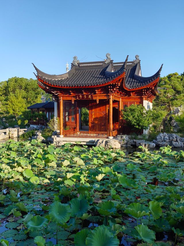 正儀老街嘅晨光，係裹住水氣嚟嘅。