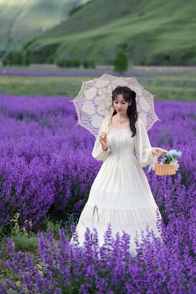 白裙與紫浪，薰衣草田裡的夏日情書