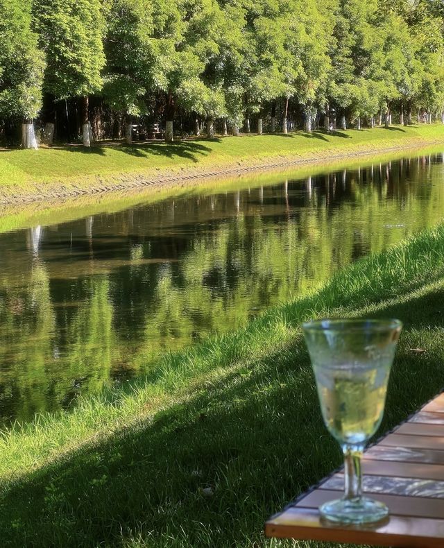 昆明｜採蓮河晨跑·宮崎駿夏天