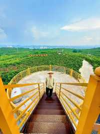 暑假嚟廣西旅遊，mark低呢份攻略穩賺唔蝕~