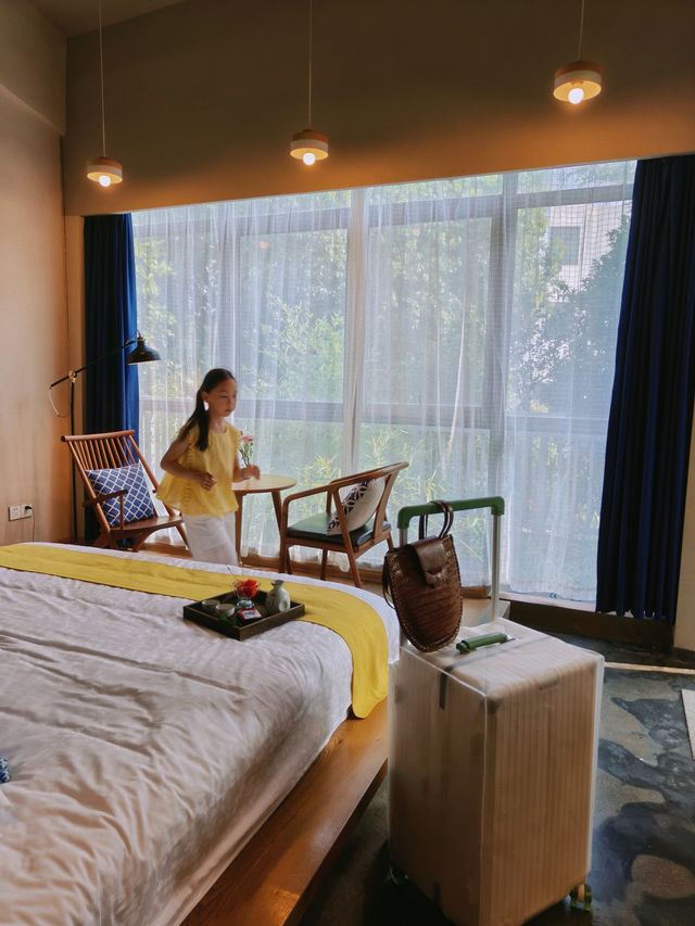 藏院的夏日浪漫