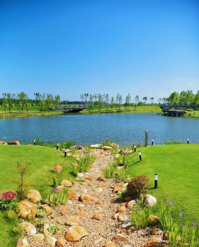 上海崇明！好似跌入南法嘅夏日！靚到喊