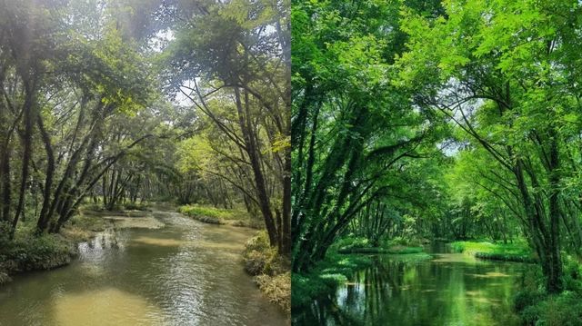 宏村﹣碧山﹣南屏﹣西遞﹣西溪﹣呈坎﹣黃山