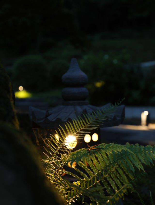 藏於山林中的阿蘭若處|青城山無境山居