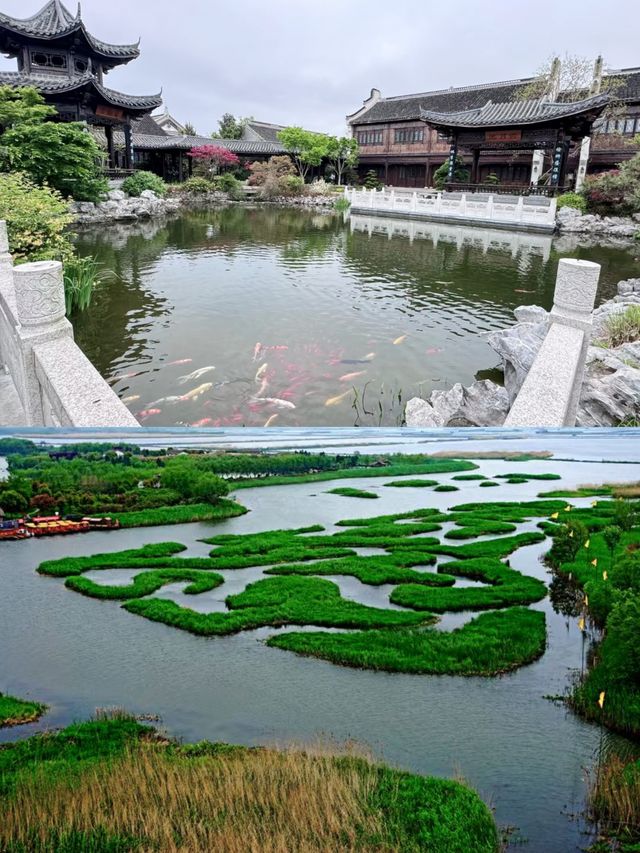大縱湖位於江蘇省鹽城市鹽都區、泰州市興化兩地，地處里下河平原