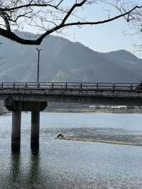 杭州→龍遊|城市逃離計劃:為我的心充電