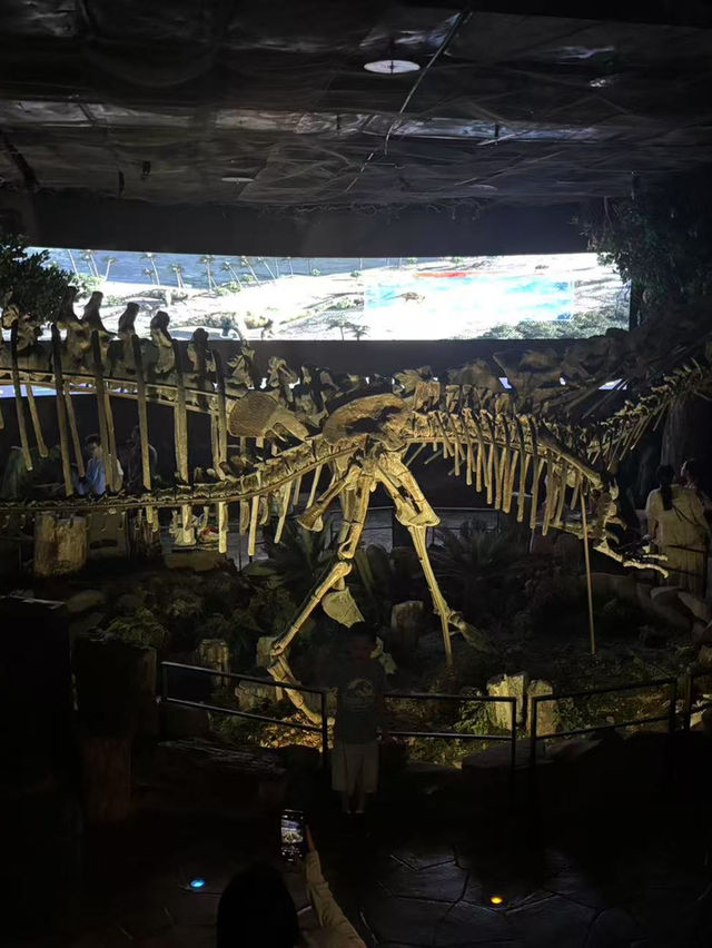 🏛️【柳州必遊】免門票免預約！博物館全攻略   