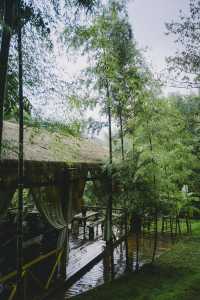 煩惱泡進山雨裏了,下山再撈吧!