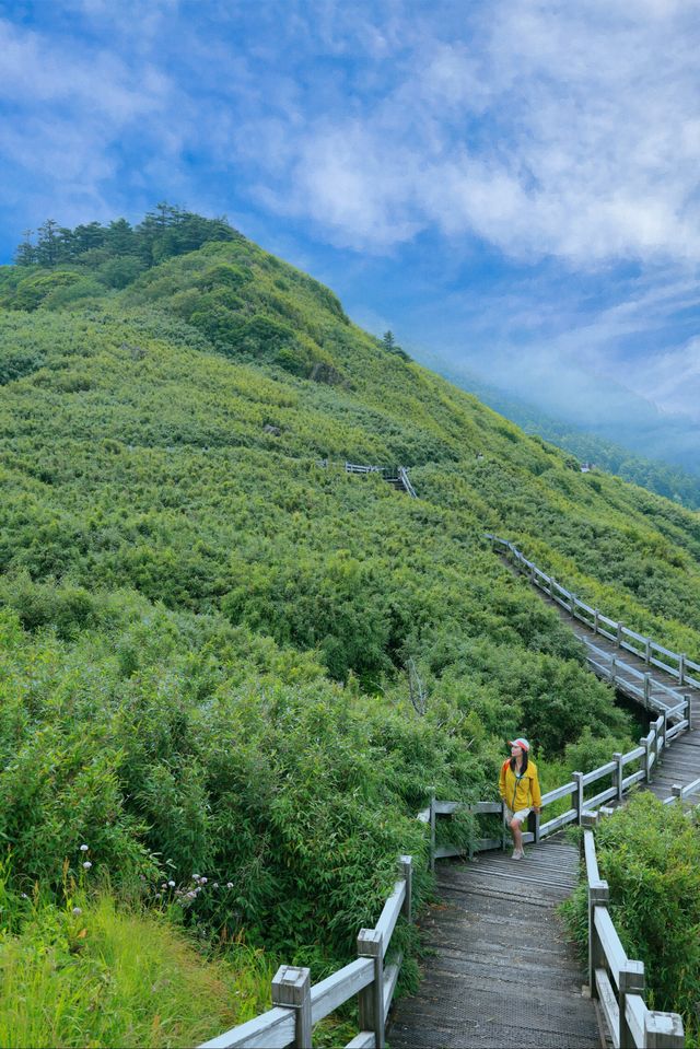 進山避暑，湖北首選秘境神農架