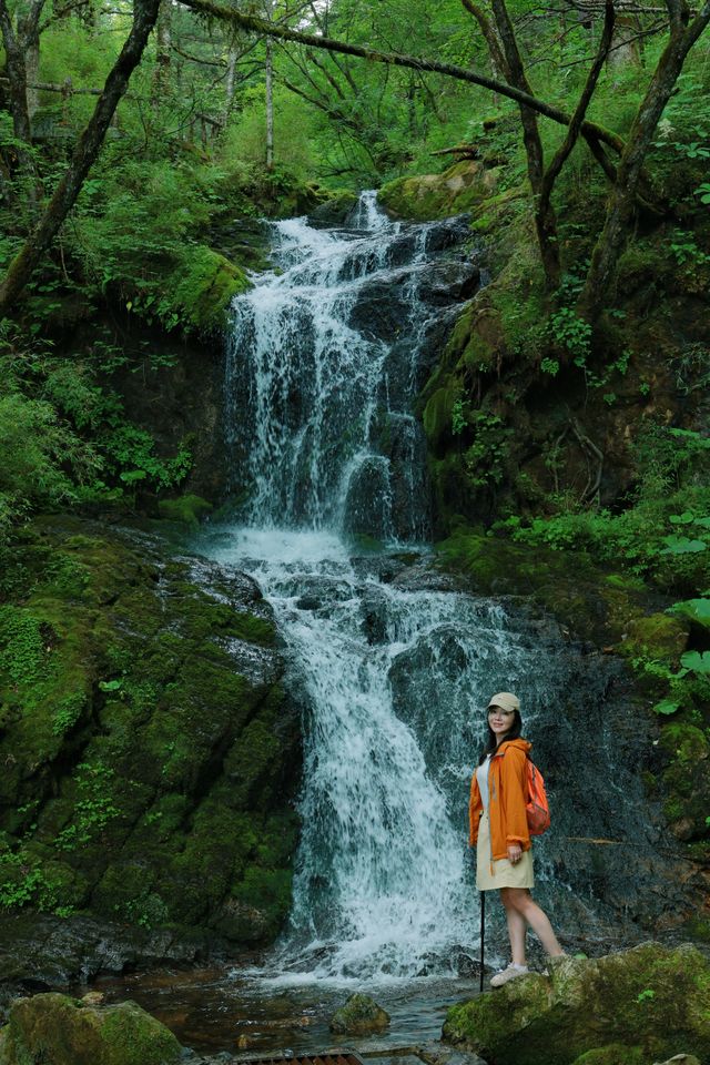 進山避暑，湖北首選秘境神農架